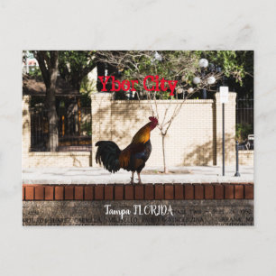 Ybor City, Tampa FLORIDA Briefkaart