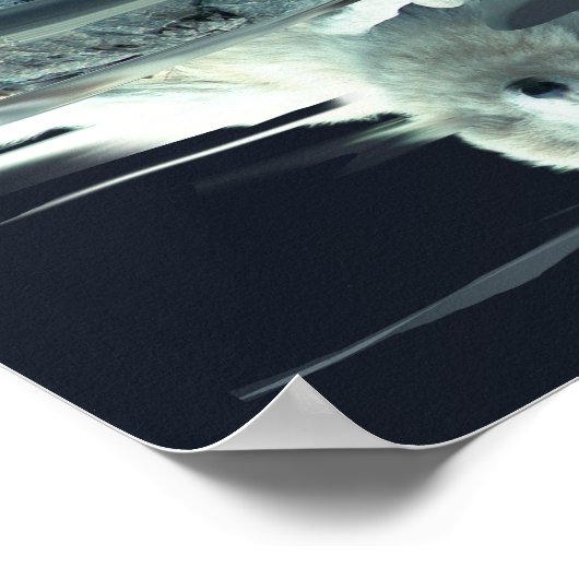 Yearly Calendar Poster White Wolf, Value Poster (Hoek)