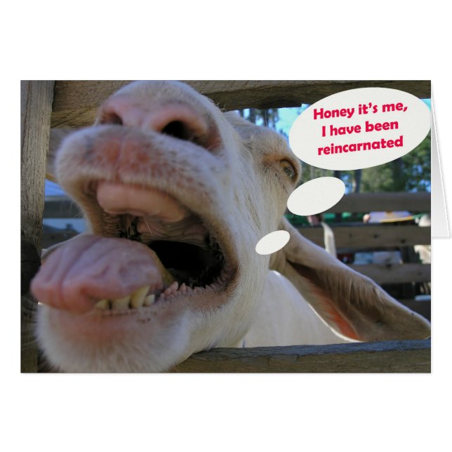 Yee Haw Goat - kaarten (Voorkant Horizontaal)