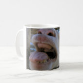 Yee Haw Goat - Mokken (Voorkant links)