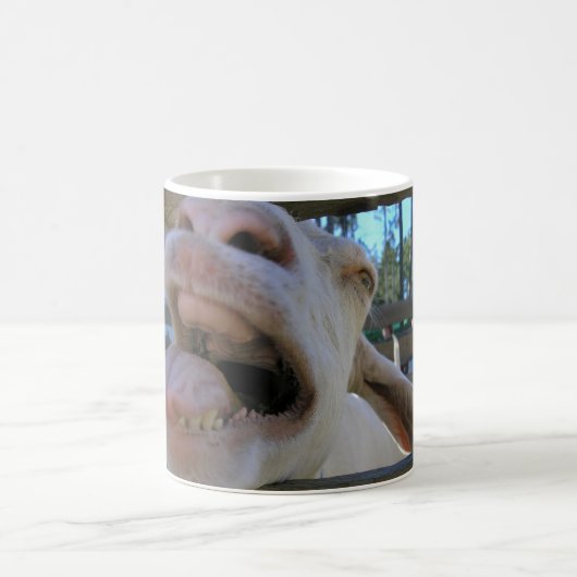 Yee Haw Goat - Mokken (Center)