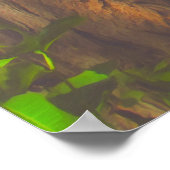 Yelapa 1017 Art Print (Hoek)