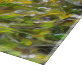 Yelapa Schilderachtig Uitzicht 0819 Snijplank (Hoek)