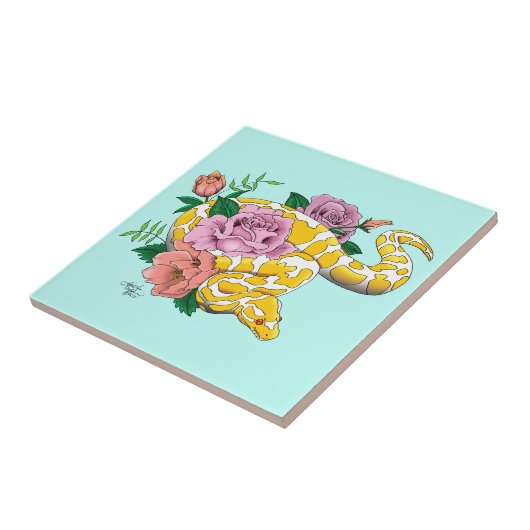 Yellow Albino Ball Python Tegeltje (Zijkant)