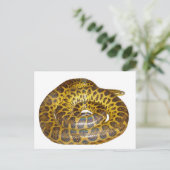 Yellow Anaconda Briefkaart (Staand voorkant)