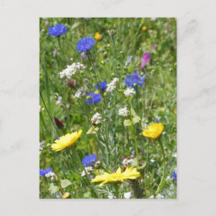 Yellow and Blue Wildflowers DIY Briefkaart