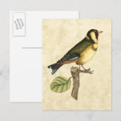 Yellow and Green Bird Perched on a Little Branch Briefkaart (Voorkant / Achterkant)