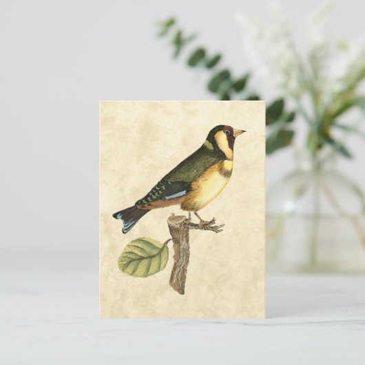 Yellow and Green Bird Perched on a Little Branch Briefkaart (Staand voorkant)