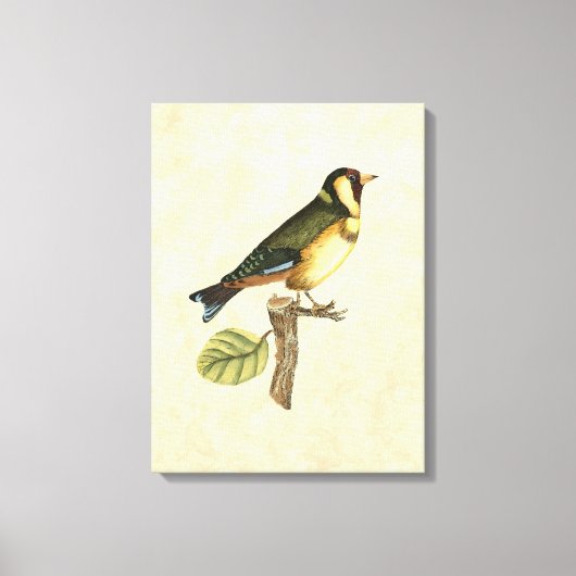 Yellow and Green Bird Perched on a Little Branch Canvas Afdruk (Voorkant)