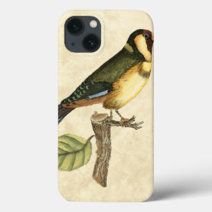 Yellow and Green Bird Perched on a Little Branch iPhone 13 Hoesje