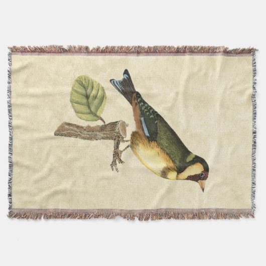 Yellow and Green Bird Perched on a Little Branch Deken (Voorkant)