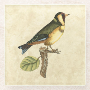 Yellow and Green Bird Perched on a Little Branch Glazen Onderzetter
