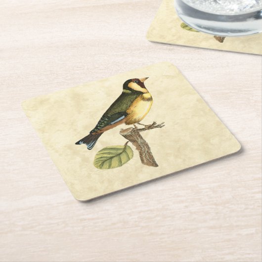 Yellow and Green Bird Perched on a Little Branch Kartonnen Onderzetters (Schuin)