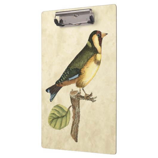 Yellow and Green Bird Perched on a Little Branch Klembord (Links)