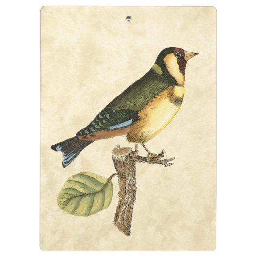 Yellow and Green Bird Perched on a Little Branch Klembord (Achterkant)