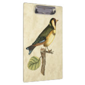 Yellow and Green Bird Perched on a Little Branch Klembord (Rechts)