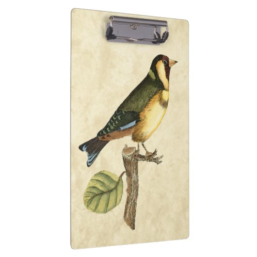 Yellow and Green Bird Perched on a Little Branch Klembord (Rechts)