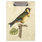 Yellow and Green Bird Perched on a Little Branch Klembord (Voorkant)