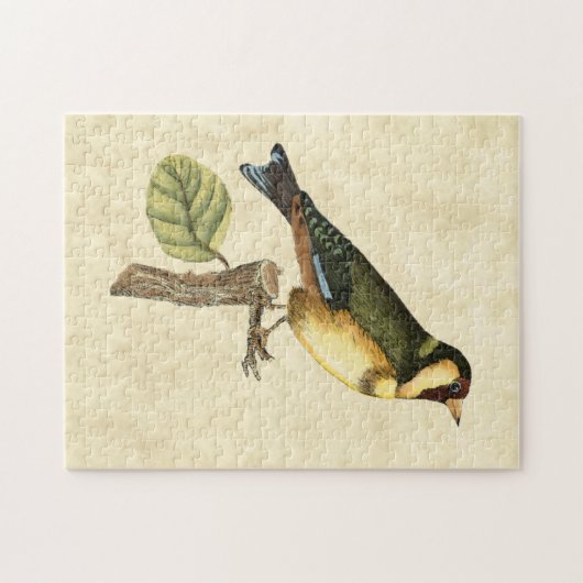 Yellow and Green Bird Perched on a Little Branch Legpuzzel (Horizontaal)