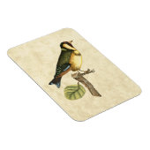 Yellow and Green Bird Perched on a Little Branch Magneet (Rechterzijde)