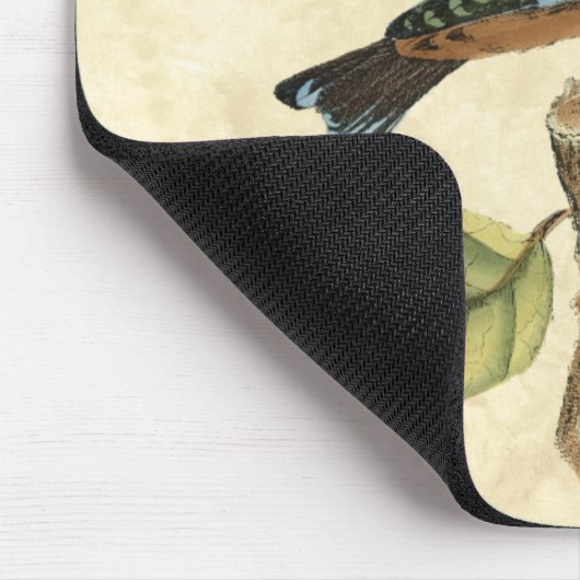 Yellow and Green Bird Perched on a Little Branch Muismat (Hoek)