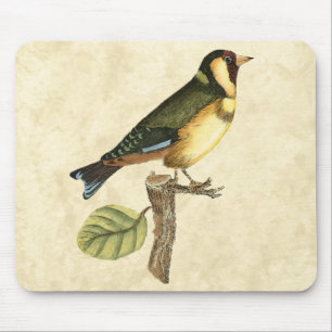 Yellow and Green Bird Perched on a Little Branch Muismat