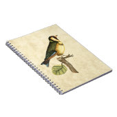 Yellow and Green Bird Perched on a Little Branch Notitieboek (Rechterzijde)