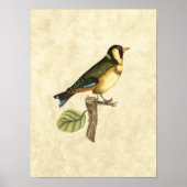 Yellow and Green Bird Perched on a Little Branch Poster (Voorkant)