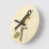 Yellow and Green Bird Perched on a Little Branch Ronde Klok (Hoek)