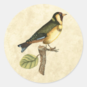Yellow and Green Bird Perched on a Little Branch Ronde Sticker
