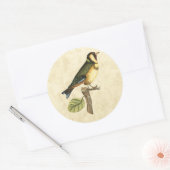 Yellow and Green Bird Perched on a Little Branch Ronde Sticker (Envelop)