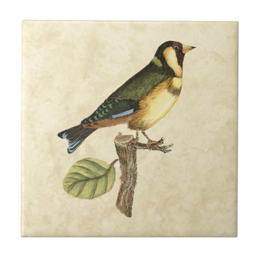 Yellow and Green Bird Perched on a Little Branch Tegeltje (Voorkant)