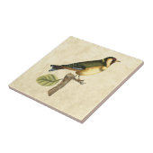 Yellow and Green Bird Perched on a Little Branch Tegeltje (Zijkant)