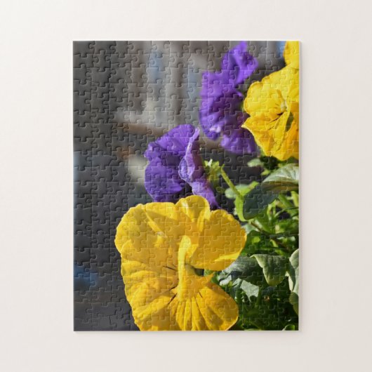 Yellow and Paars Petunia Flowers, Londen Verenigd  Legpuzzel (Verticaal)