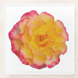 Yellow and Pink Rose Coaster Glazen Onderzetter