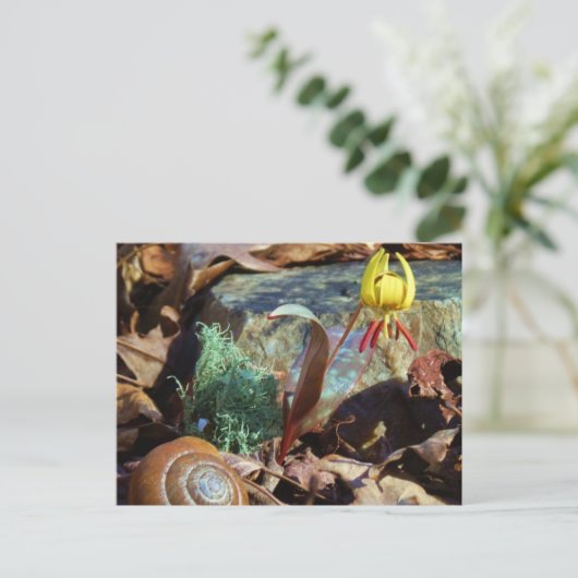 Yellow and Plum Trout Lily en Snagel Shell Briefkaart (Staand voorkant)