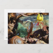 Yellow and Plum Trout Lily en Snagel Shell Briefkaart (Voorkant / Achterkant)