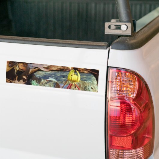 Yellow and Plum Trout Lily en Snagel Shell Bumpersticker (Op Truck)