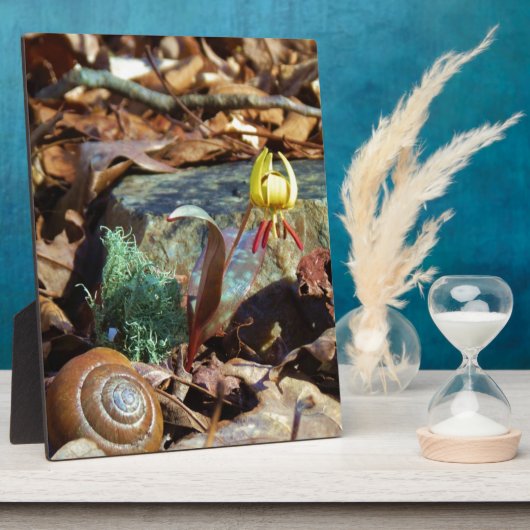 Yellow and Plum Trout Lily en Snagel Shell Fotoplaat (Zijkant)