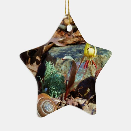 Yellow and Plum Trout Lily en Snagel Shell Keramisch Ornament (Rechts)