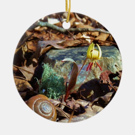 Yellow and Plum Trout Lily en Snagel Shell Keramisch Ornament (Voorkant)