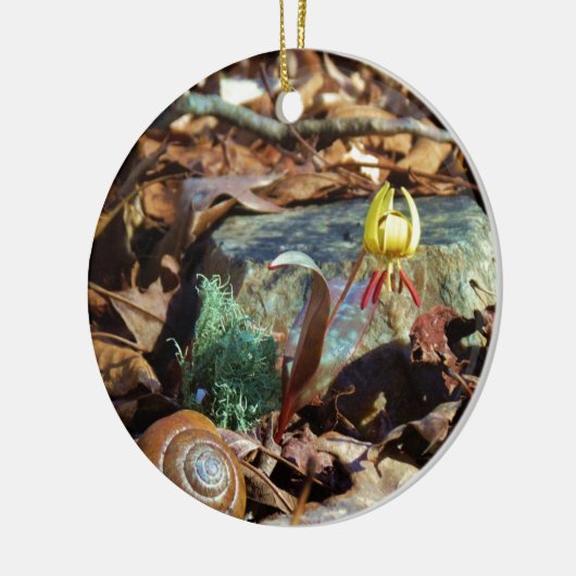Yellow and Plum Trout Lily en Snagel Shell Keramisch Ornament (Links)