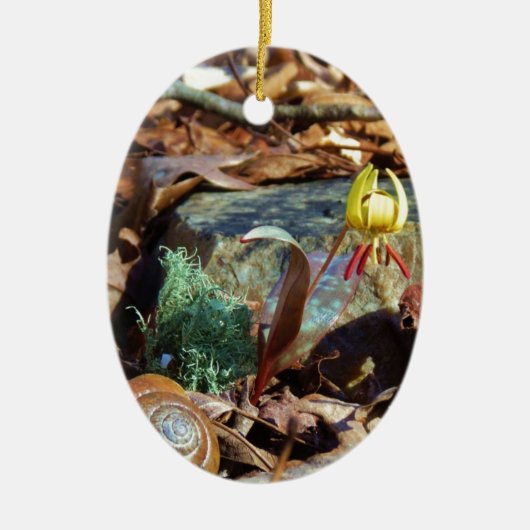 Yellow and Plum Trout Lily en Snagel Shell Keramisch Ornament (Voorkant)
