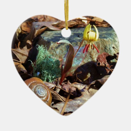 Yellow and Plum Trout Lily en Snagel Shell Keramisch Ornament (Voorkant)