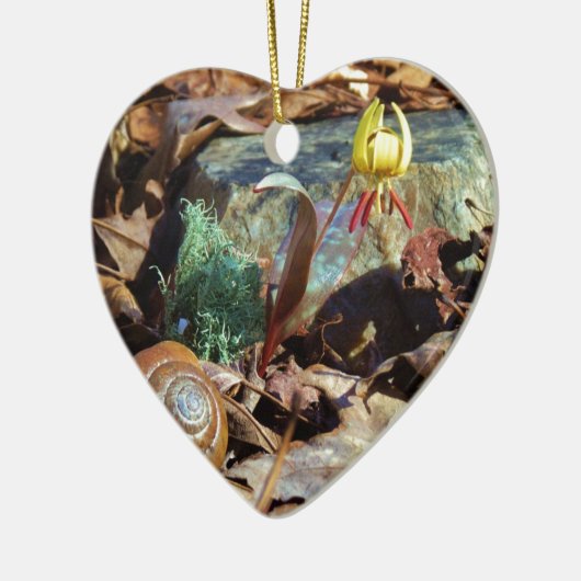 Yellow and Plum Trout Lily en Snagel Shell Keramisch Ornament (Links)