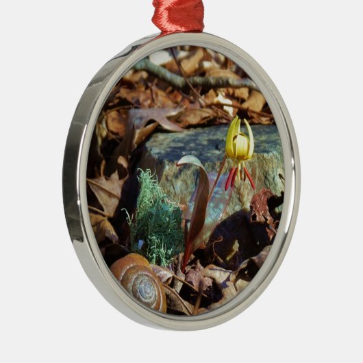 Yellow and Plum Trout Lily en Snagel Shell Metalen Ornament (Rechts)