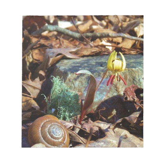 Yellow and Plum Trout Lily en Snagel Shell Notitieblok (Voorkant)