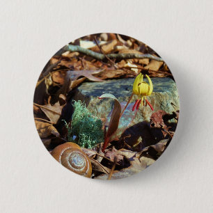 Yellow and Plum Trout Lily en Snagel Shell Ronde Button 5,7 Cm