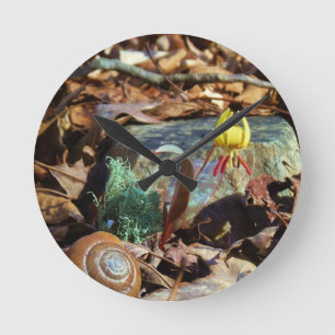 Yellow and Plum Trout Lily en Snagel Shell Ronde Klok