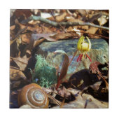 Yellow and Plum Trout Lily en Snagel Shell Tegeltje (Voorkant)